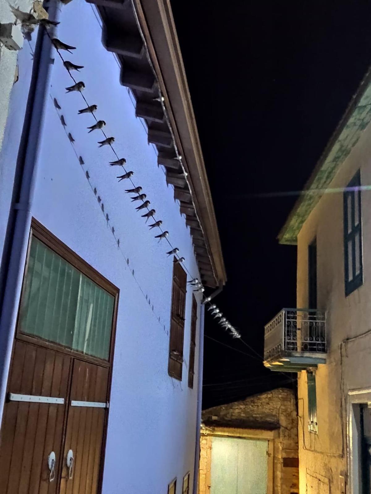Pensjonat 7Kamares Lefkara Zewnętrze zdjęcie